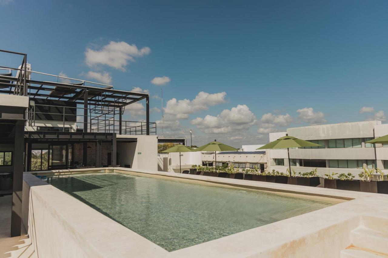 Caleta Hostel Rooftop & Pool 坎昆 外观 照片