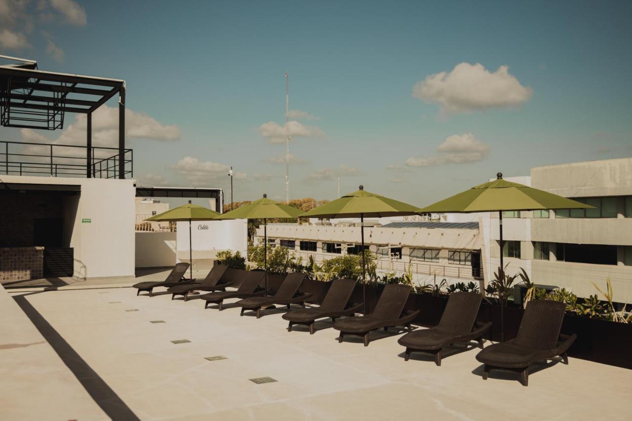 Caleta Hostel Rooftop & Pool 坎昆 外观 照片