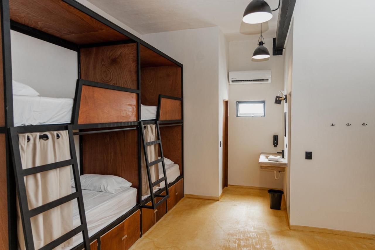 Caleta Hostel Rooftop & Pool 坎昆 外观 照片