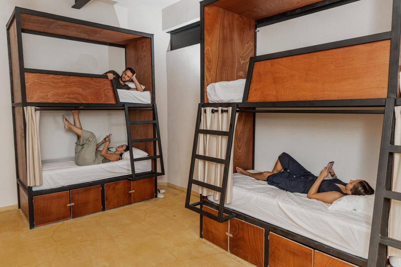 Caleta Hostel Rooftop & Pool 坎昆 外观 照片