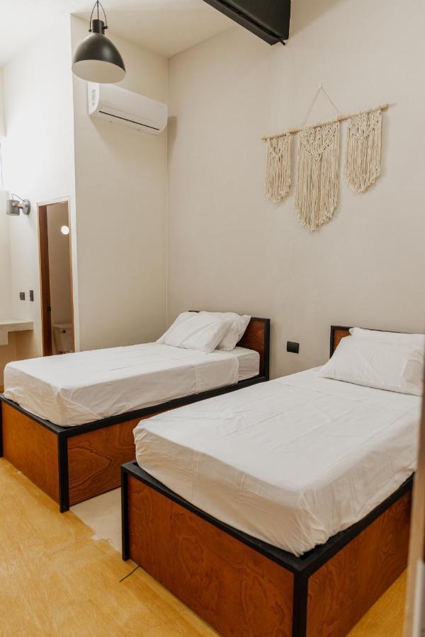 Caleta Hostel Rooftop & Pool 坎昆 外观 照片