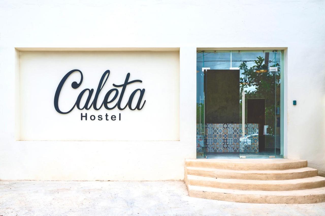 Caleta Hostel Rooftop & Pool 坎昆 外观 照片